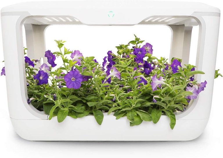 How Smart Farms Are Rewriting Crop Performance and Operational Costs